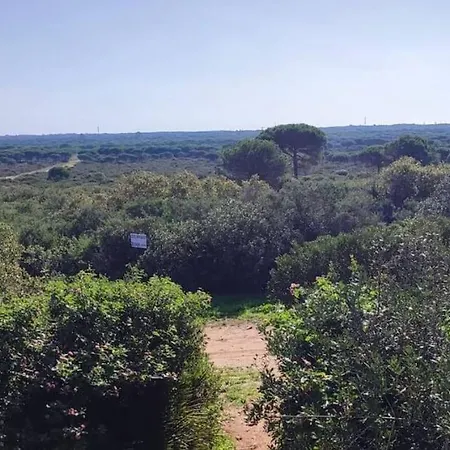 Bamboo & Golf House Σπίτι διακοπών Campano (Andalucia)